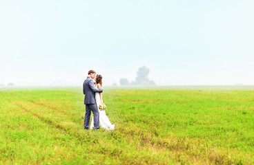 Fototapeta na wymiar young beautiful wedding couple hugging in a field with grass.