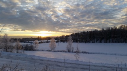 Beautiful sunset over snow coverd field with frost on trees