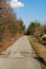 Old road in the province
