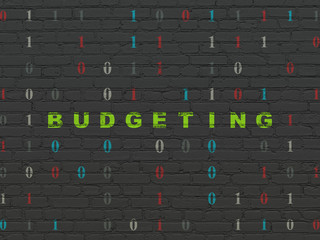 Finance concept: Budgeting on wall background