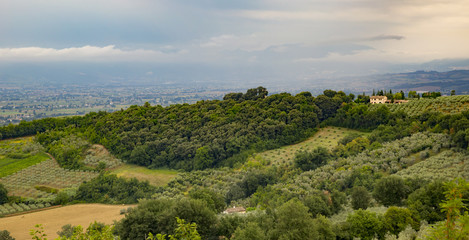 Fototapeta na wymiar Landscape of Montefalco in Umbria (Italy)