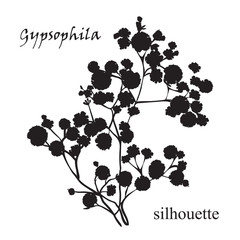 Branch of beautiful hand-drawn silhouette gypsophila