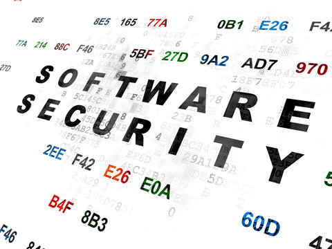 Privacy concept: Software Security on Digital background