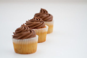 Three chocolate cupcakes in a row on an isolated white background.
