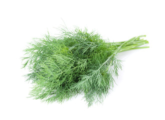 Fresh garden herbs. Dill