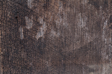 wood texture background