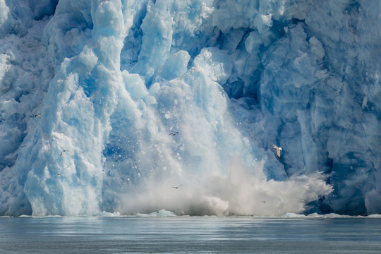 Calved icebergs from the South Sawyer Glacier in Tracy Arm-Fords Terror Wilderness Area in Southeast Alaska