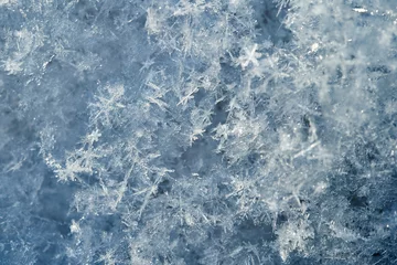 Fotobehang Snowflakes background macro © Sergey Ryzhov