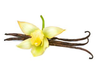 Fototapeta na wymiar Vanilla pods and flower isolated on a white background