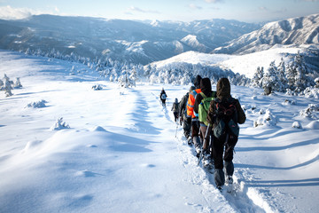 Group of winter hikers