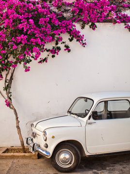 Fiat under tree in Mojacar, Andalucia, Spain