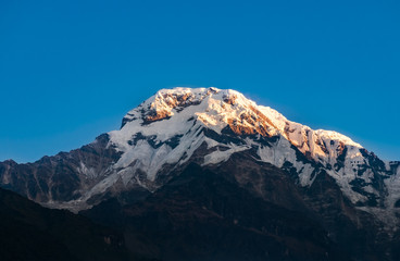 annapurna south peak