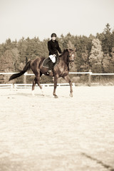 equestrian on horseback