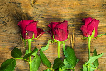 Róże na drewnianym tle © Mike Mareen