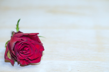 Róże na drewnianym tle © Mike Mareen