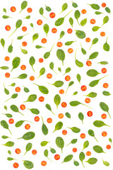 Background of tomato and spinach