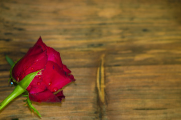 Róża na drewnianym,rustykalnym tle