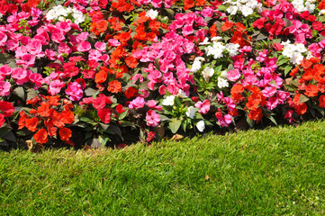Garden detail