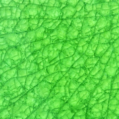 Green Cracked glass background