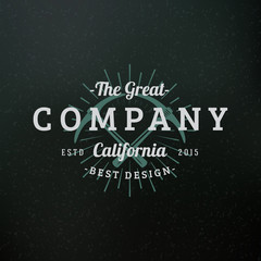 Ice Ax. Vintage Retro Design Elements for Logotype, Insignia, Badge, Label. Business Sign Template. Textured Background