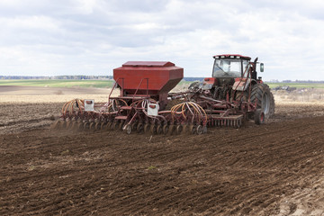 Fototapeta premium sowing of cereals. Spring 