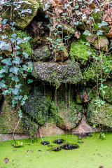 Park of Pena National Palace (Palacio Nacional da Pena) Sintra.