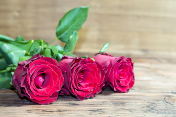 Róże na drewnianym tle © Mike Mareen