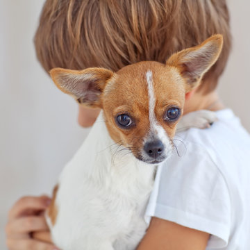 happy little boy with a little dog 