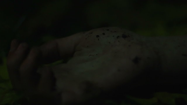 Hand of dead person on ground in dark forest, murderer drops victim's corpse