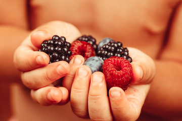 Berries in hands