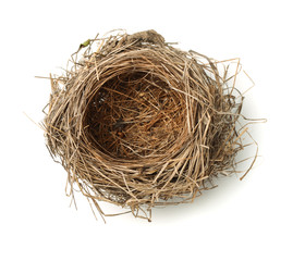 Top view of empty bird nest