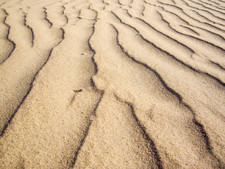 Baked Earth