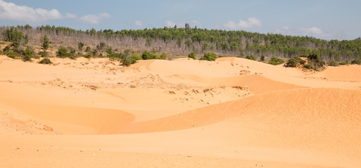 Fototapeta na wymiar Rote Sanddünen von Mui Ne in Vietnam