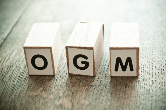 concept mot formé avec des lettres en bois - OGM
