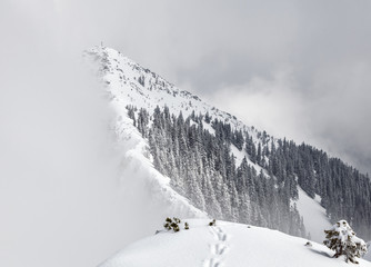Winterliches Gebirge