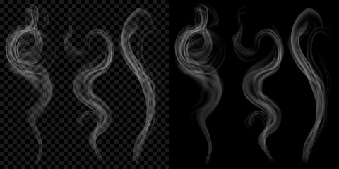 Set of translucent gray smoke on transparent and black background. Transparency only in vector format © Olga Moonlight
