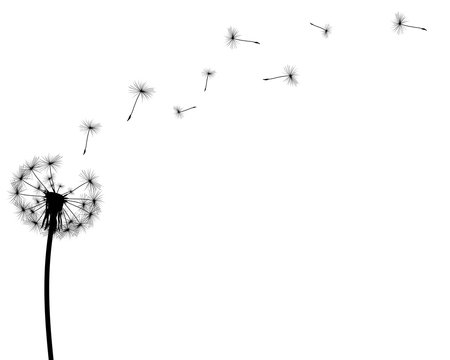 black silhouette with flying dandelion buds on a white backgroun