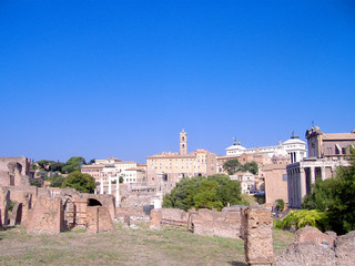 Roman Forum, Rome, Italy (with space for you message)