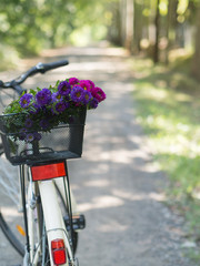 flowers and bicycle