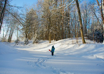 little boy playing in sunny winter day