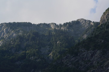 Lake Bohinj year 2008