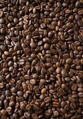 coffee beans background