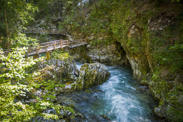 Fototapeta na wymiar Bled gorge, Blejski vintgar, Slovenia