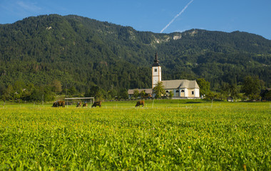Bohinj, Jereka, Slovenia