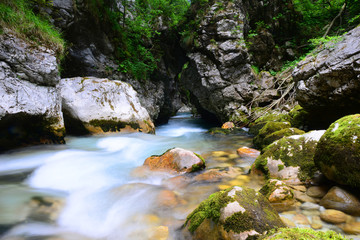 Kamniska bistrica valley, Slovenia