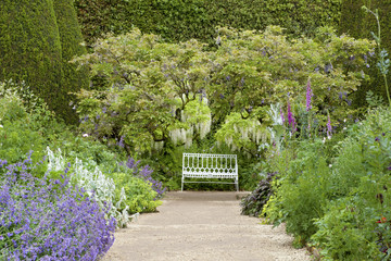 White bench under white wisteria tree at the end of stone path in summer garden with cottage...