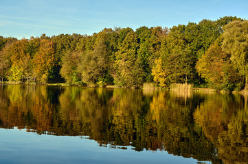 Reflection of trees in lake water during autumn in Poland.