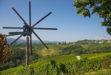 Wine road, Maribor, Slovenia