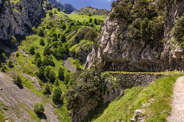 Cares canyon, Picos de Europa Natural Park, Spain