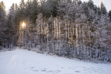 Fototapeta premium Snowy Tuhinj valley, Slovenia